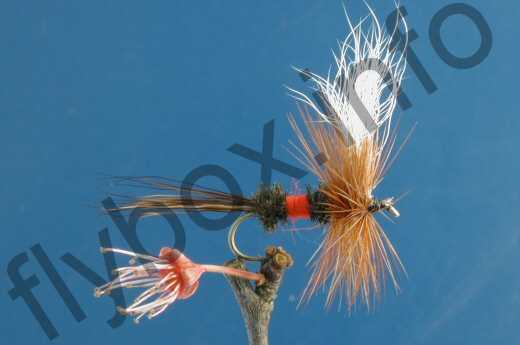 Fish4Flies Royal Wulff